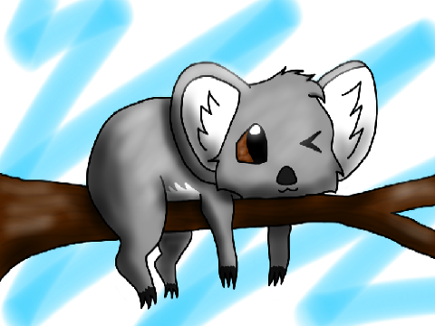Koala!!!!!!