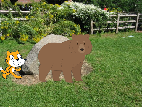 Bear try to eat cat