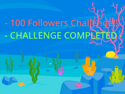 100 Follower Challenge
