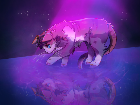 - Entry ◇ 100+ DTIYS! -