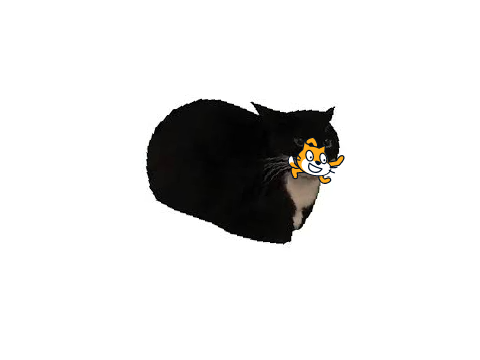 Shove yourself/your oc into Maxwell's mouth. [meme]
