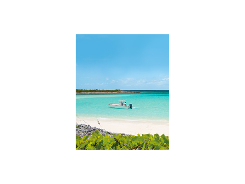 Sign if you like Bahamas 