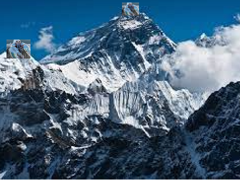 blue lobster on Mount Everest