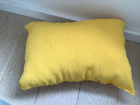 Chicken Pillow