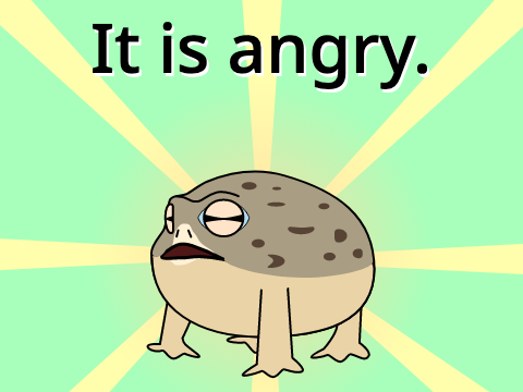 Rain Frog.