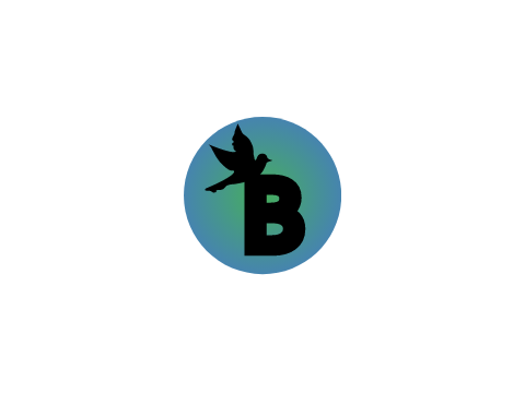 birdboy entry