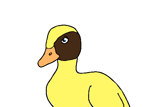 Make Your Own... Duck! Entry