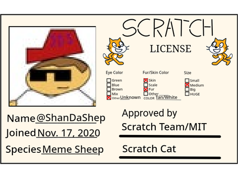 yey, I'm a licensed scratcher now.