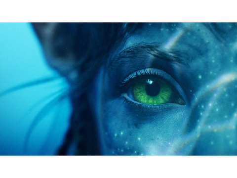 Sign if you like avatar the 2nd movie 