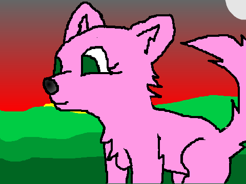 open cc true colours entery.