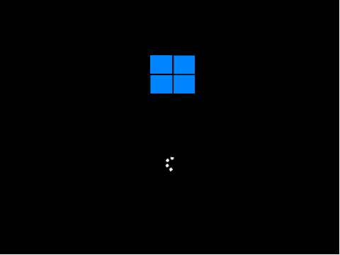 Windows 11 N Enterprise