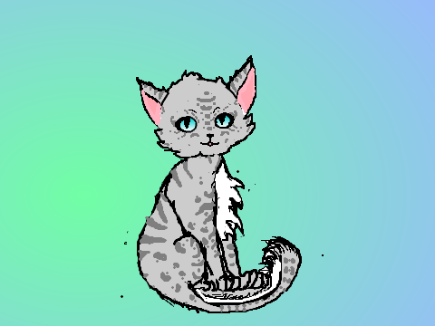 Tabby cat