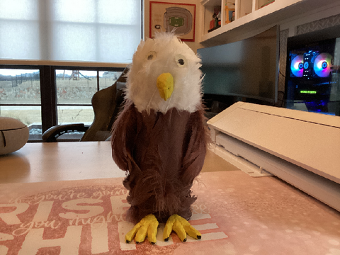 Eagle project