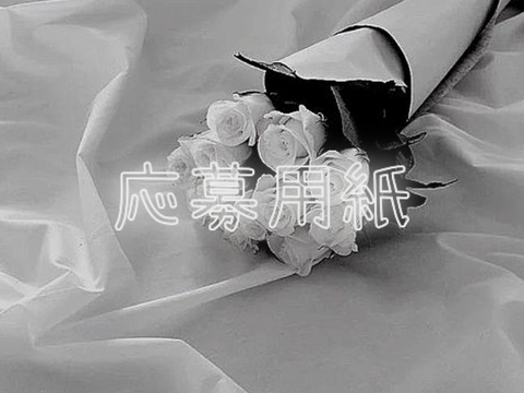 応募用紙