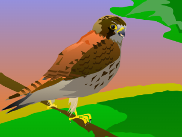 ﾁｮｳｹﾞﾝﾎﾞｳ~Kestrel~bird art#1