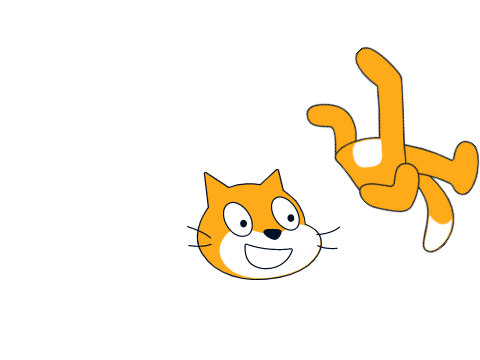 CAT-RADIE CAT