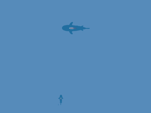 Shark eating game