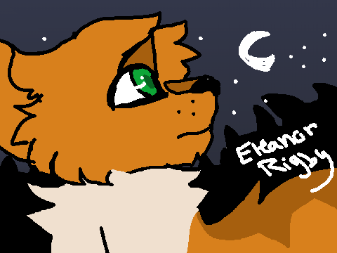 .:Eleanor Rigby:. OPEN MAP