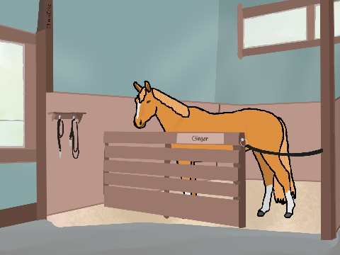 ❆ Mountain Meadows Equestrian Centre ❆ 