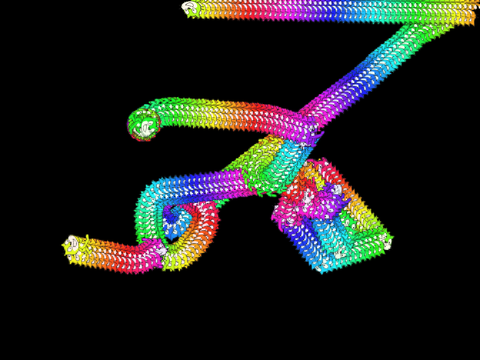 Rainbow Cat Drawing Project