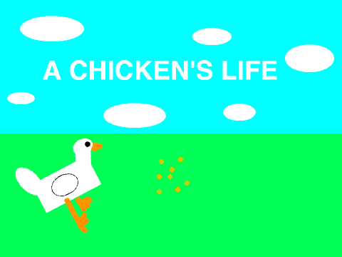 A chicken's life