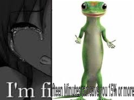 Geico