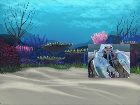 blue lobster under the sea