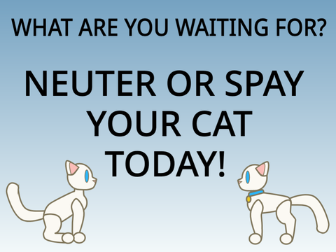 Why you should spay/neuter cats