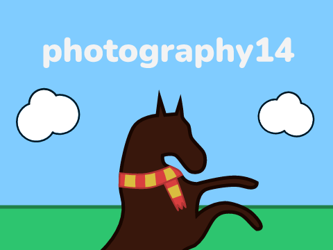 @photography14 banner contest