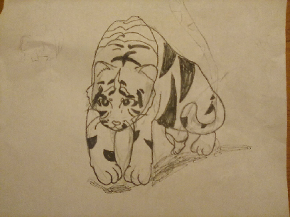 I drew a TIGER!!!