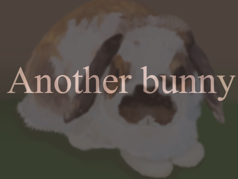 bunny art