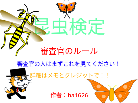 審査官のルール