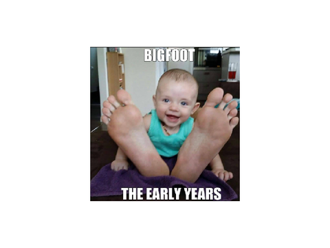 Funny meme 5