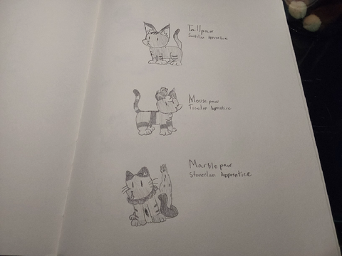 More cats.