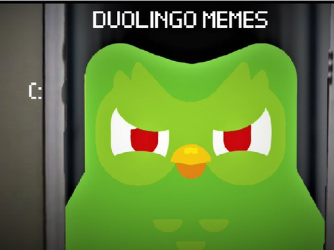 ✩✩✩doulingo memes ✩✩✩