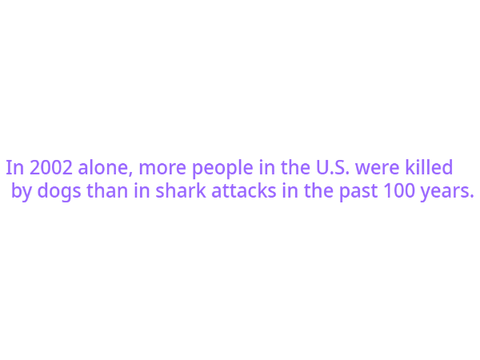 Crazy fact 2