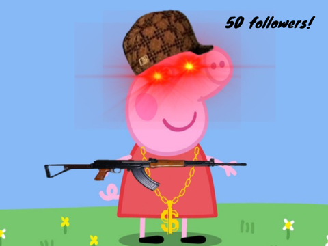 50 followers 
