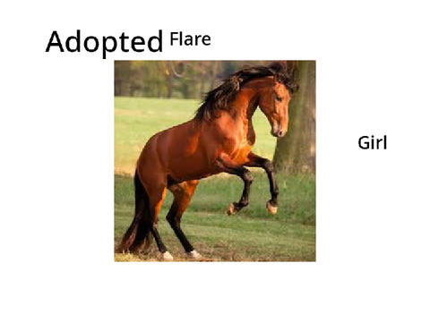 Adopt a horse 