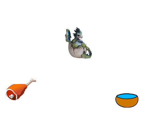 Pet dragon