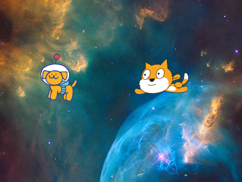 cat vs dog p1