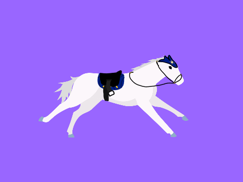 • Sea Storm Equines • TACK!