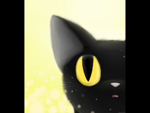 Black Cat | Art