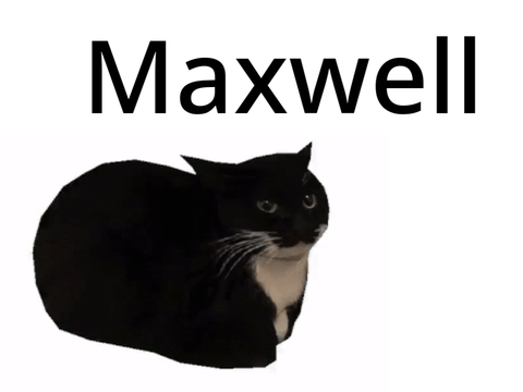 Maxwell the cat