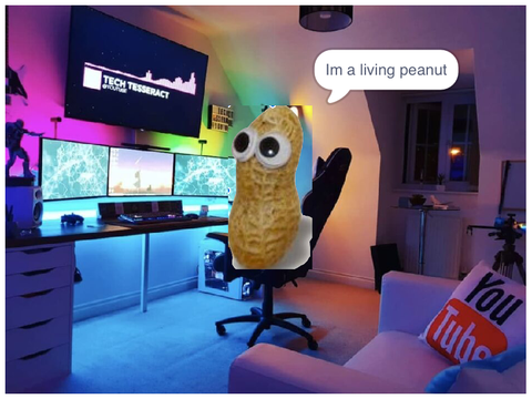 Living peanut
