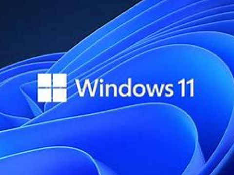 Windows 11