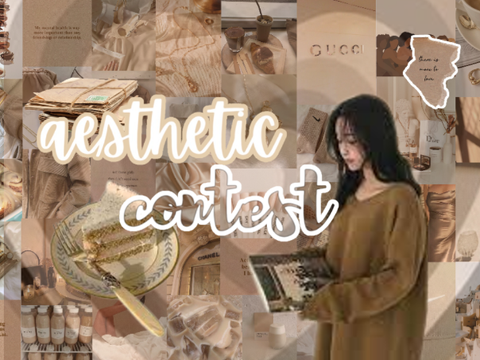 (*￣3￣)╭ aesthetic contest | results