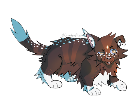 Otterstar (gift)
