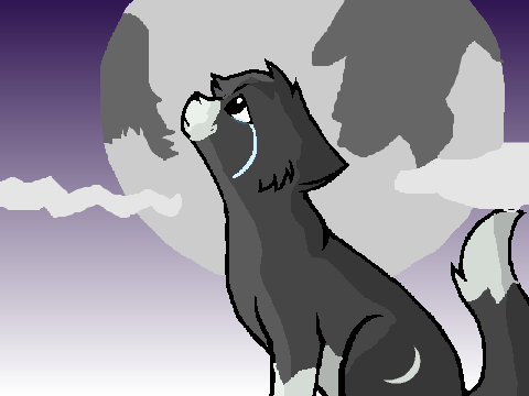 cryying cat CC remix