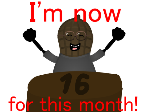 16th Year