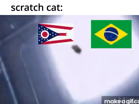 scratch cat: